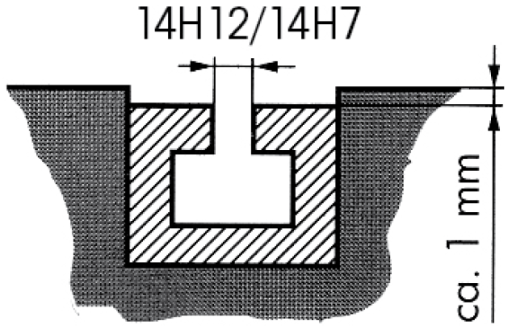 Führungs-T-Nute 4µ/1000mm 14mm H7   250mm
